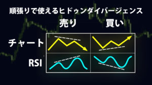 ヒドゥンダイバージェンス-fx-異国の戦士