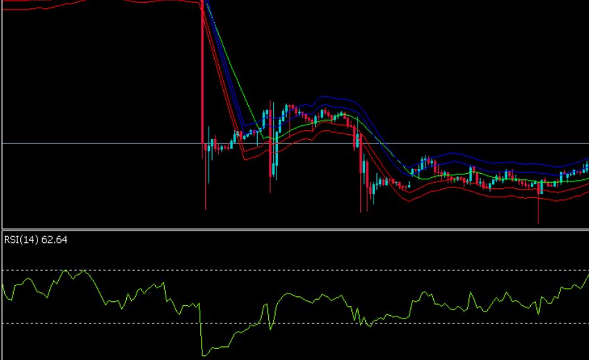 FX エンベロープ RSI